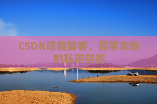 CSDN隐藏博客，探索未知的私密空间